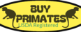 buy primates online